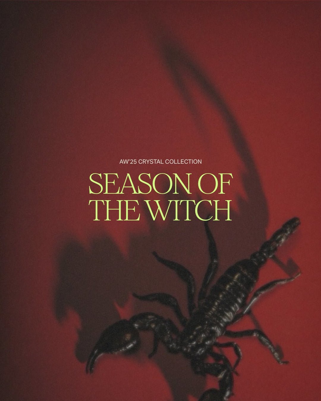 Season of the Witch: A Crystal Collection for Unapologetic Reclamation - Haus of Moss + Moon