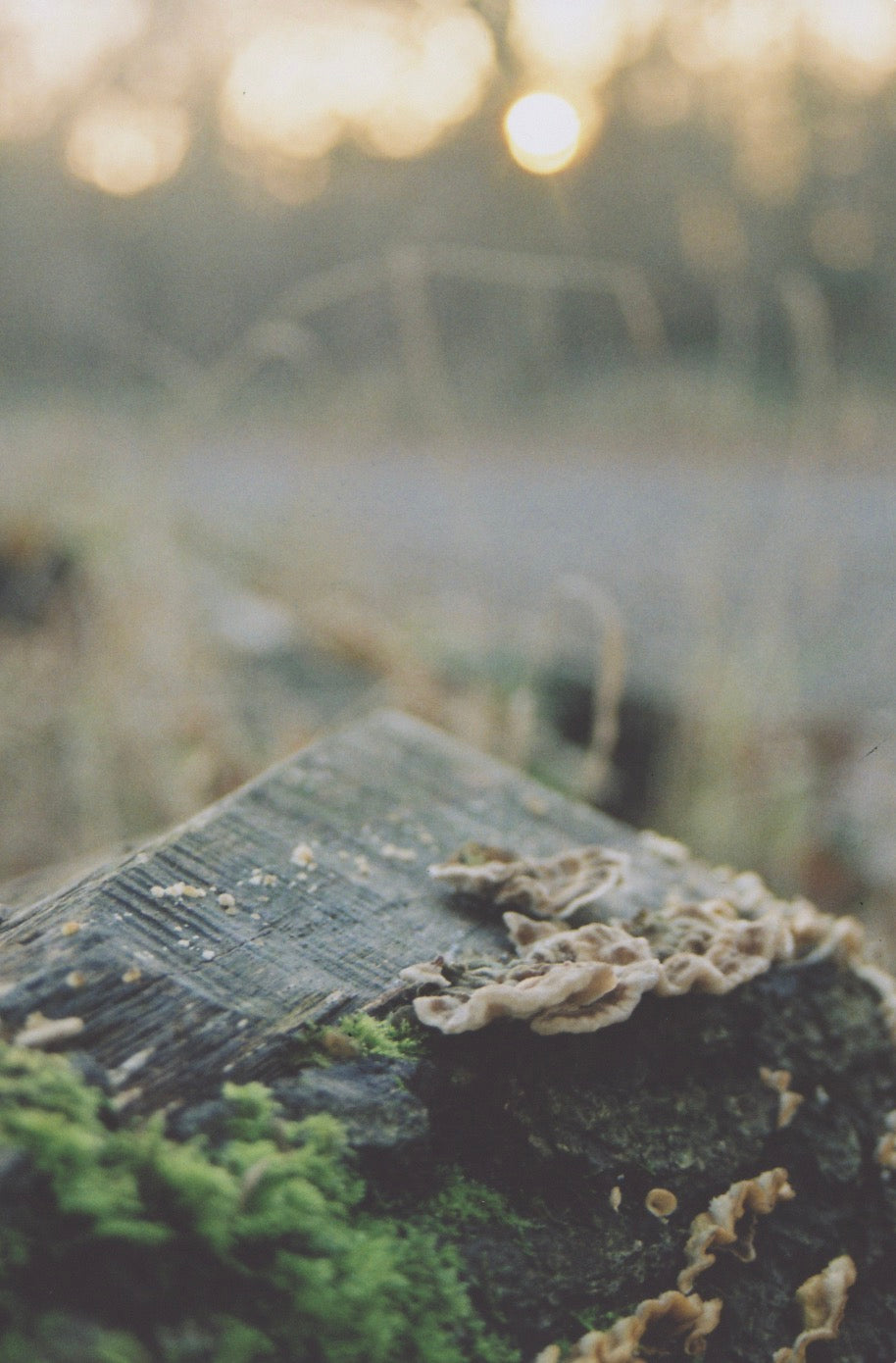 Grounding