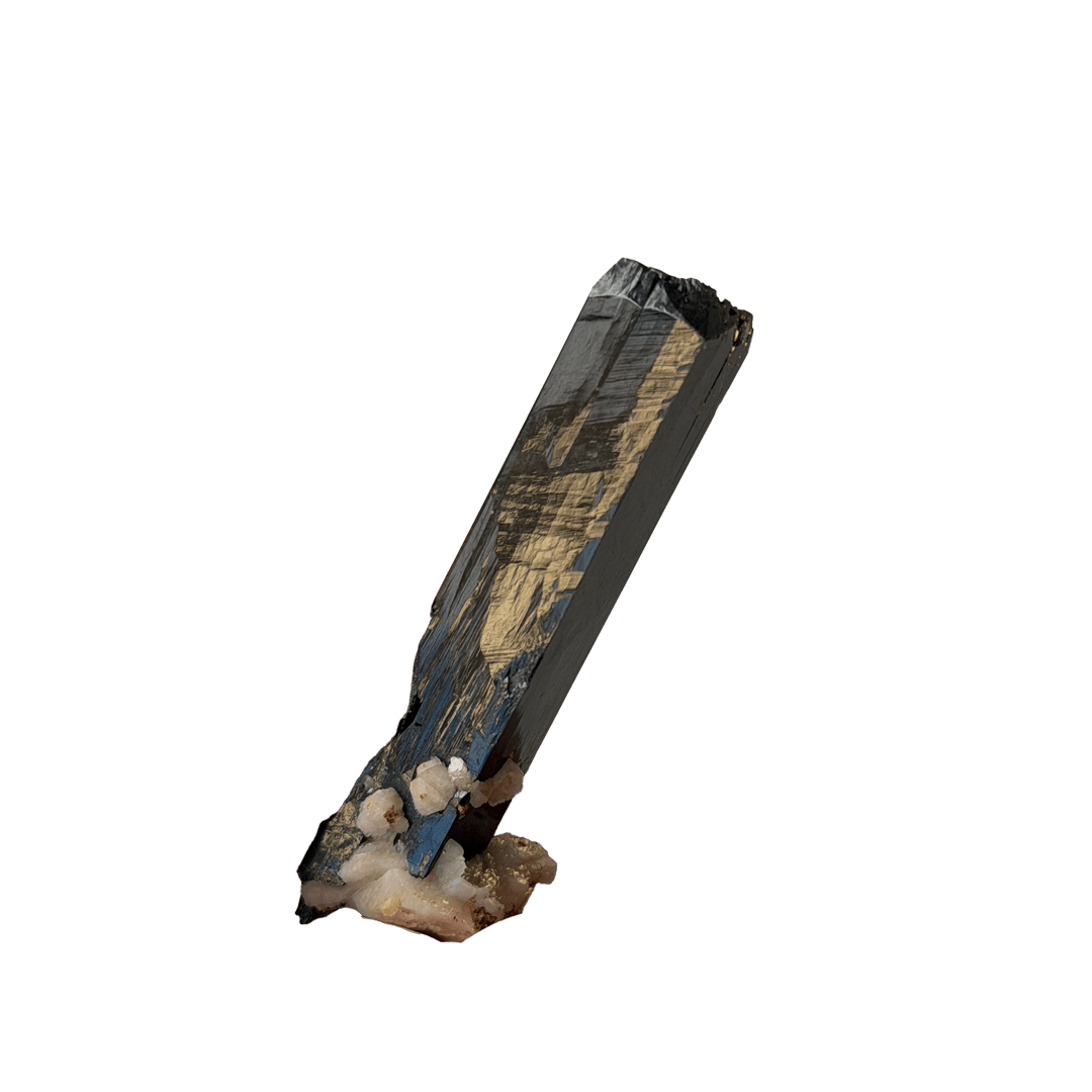 Aegirine - Haus of Moss + Moon