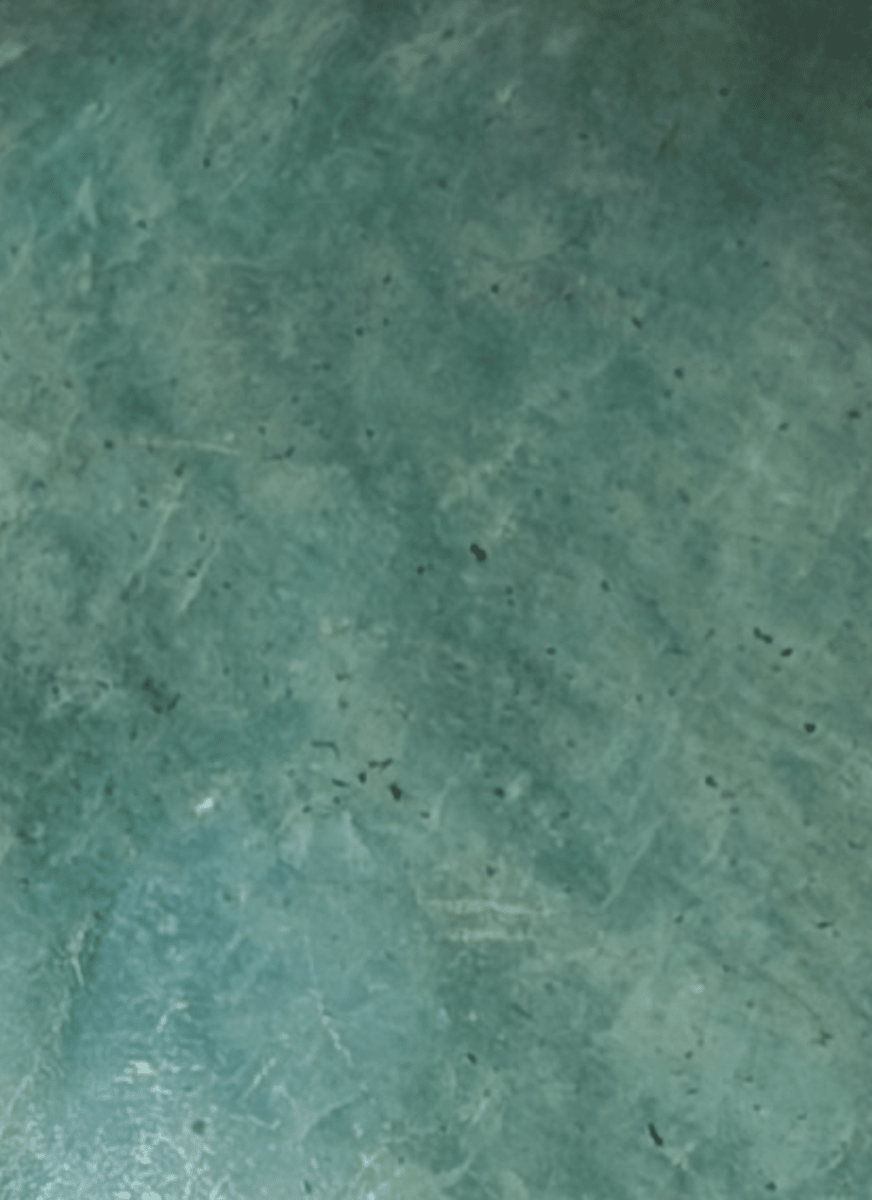 Amazonite - Haus of Moss and Moon