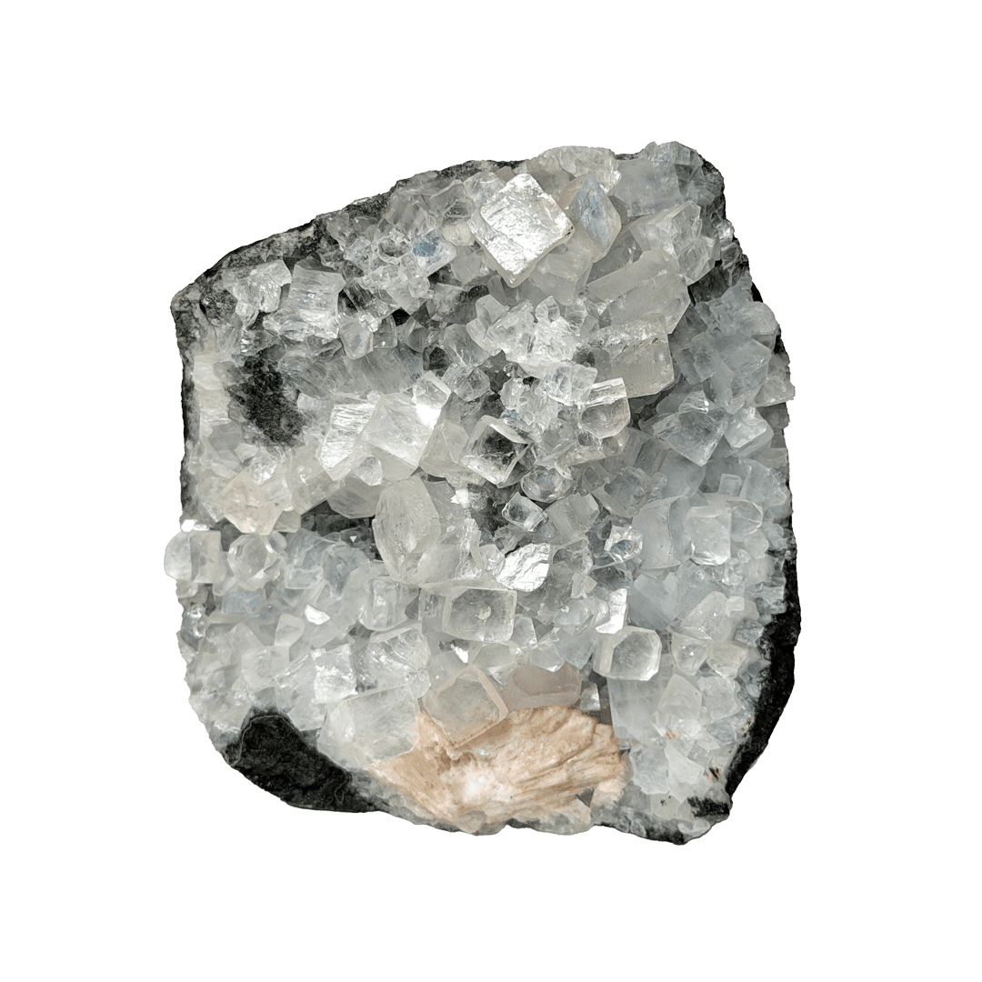 Apophyllite - Haus of Moss + Moon