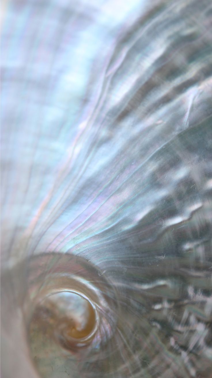 crystals for intuition - haus of moss and moon