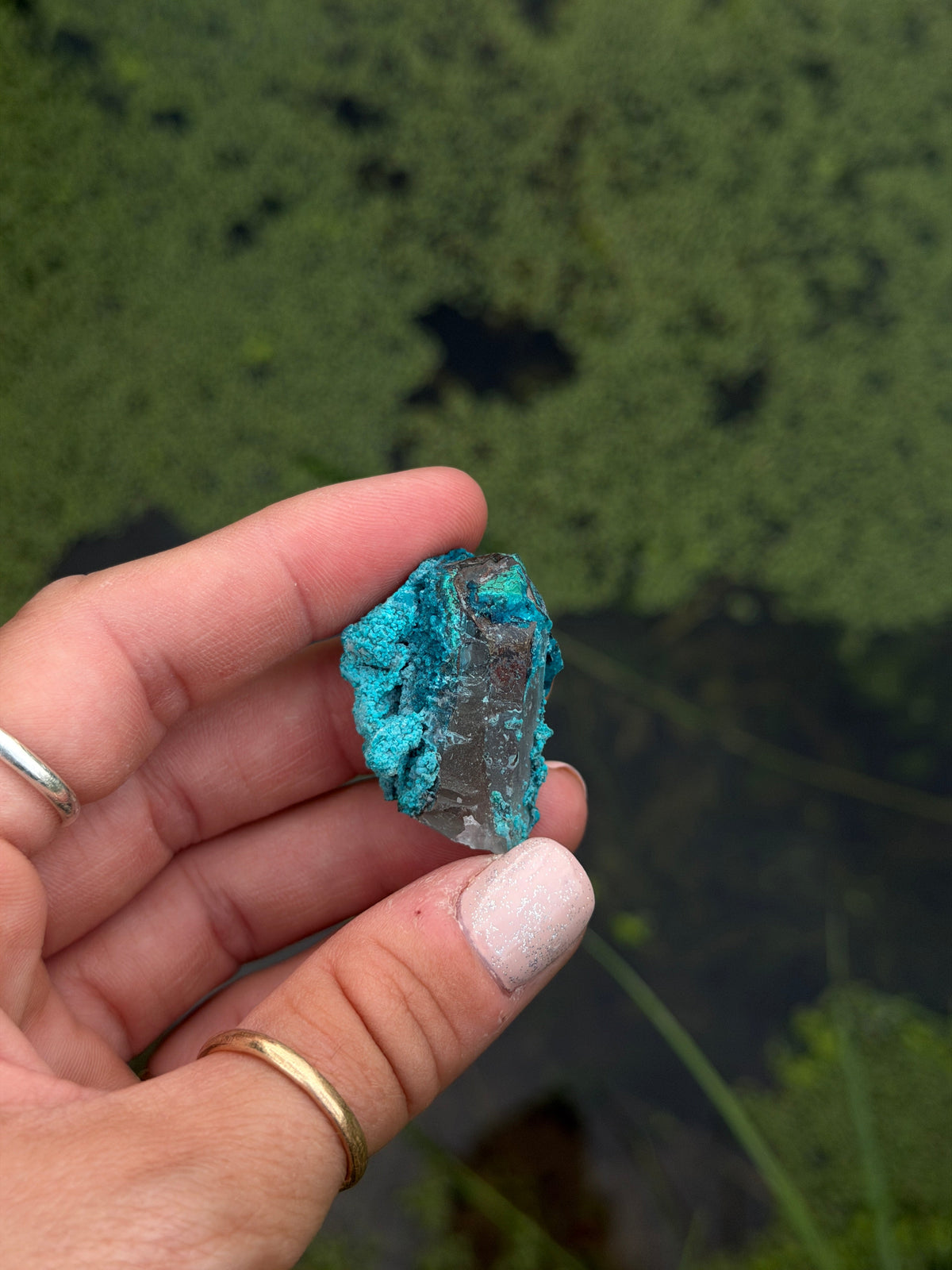 Chrysocolla - Haus of Moss and Moon