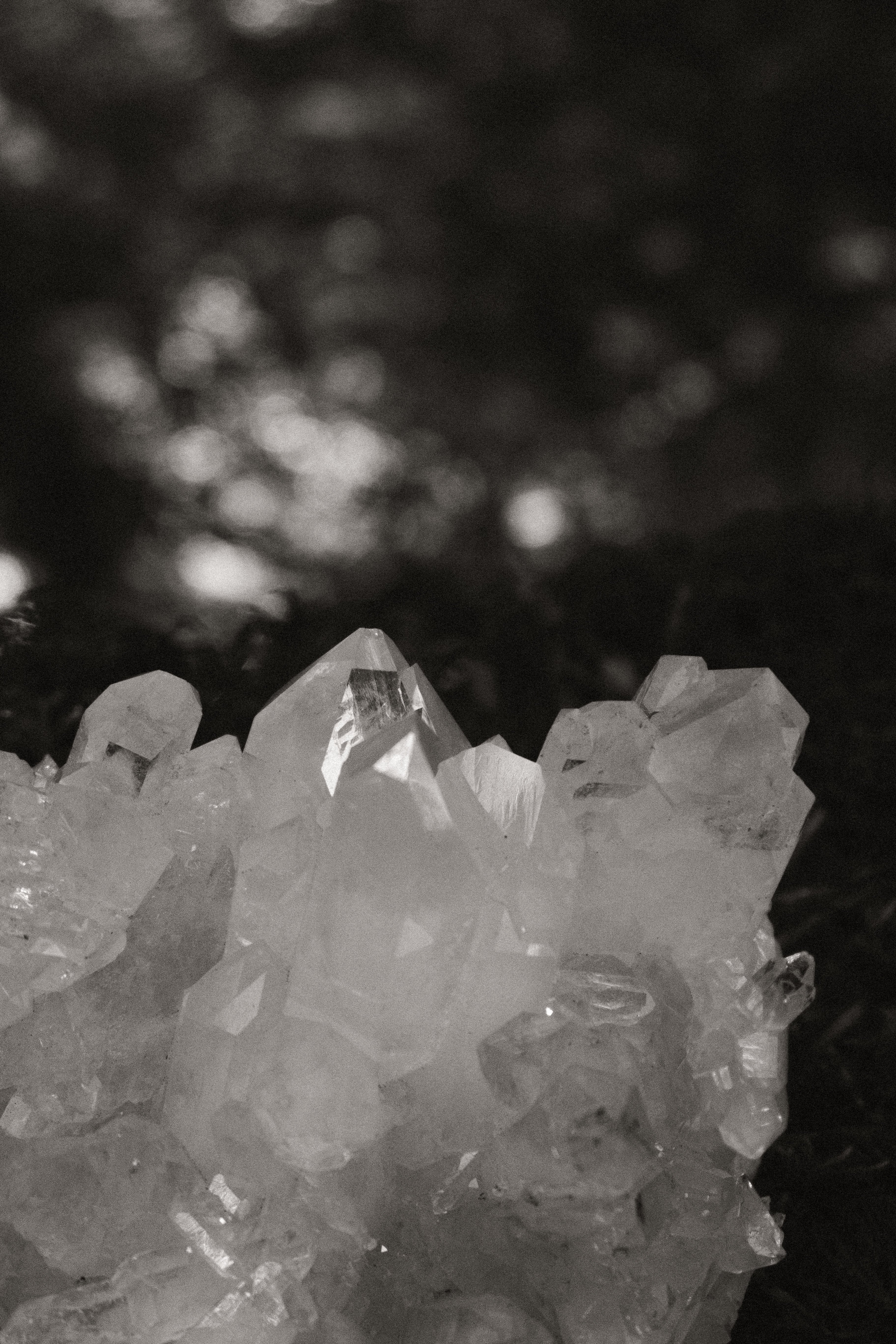 Clear Quartz - Haus of Moss + Moon