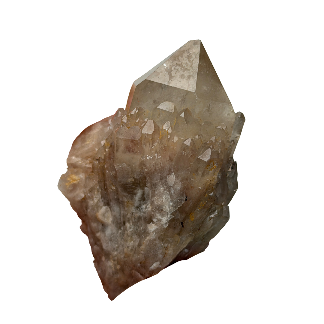 KUNDALINI CITRINE - Haus of Moss + Moon