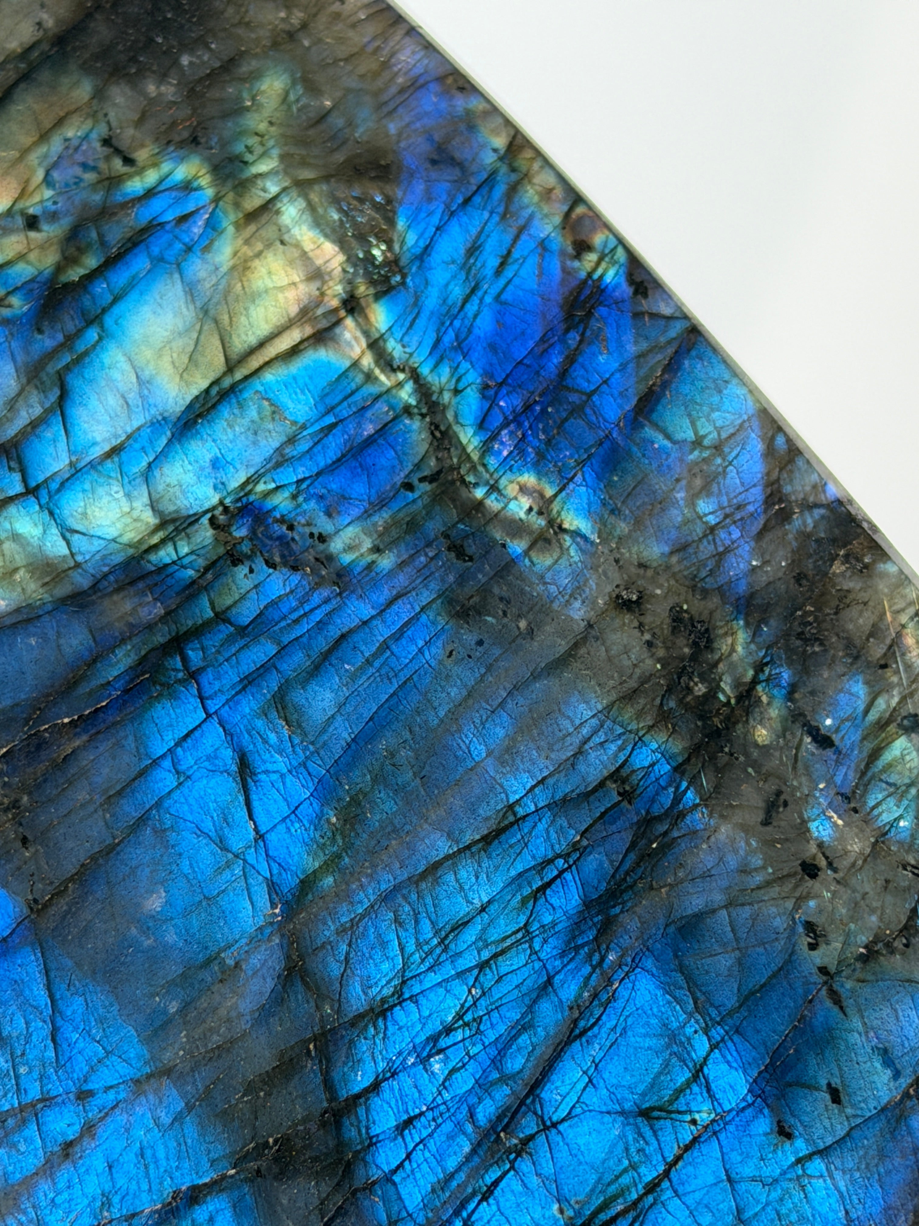 Labradorite - Haus of Moss + Moon