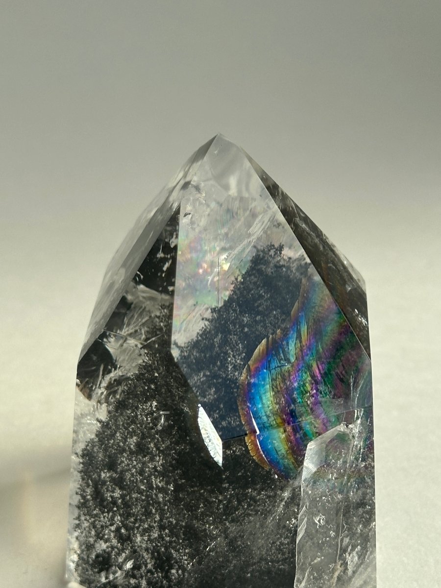 Polished Crystals - Haus of Moss + Moon