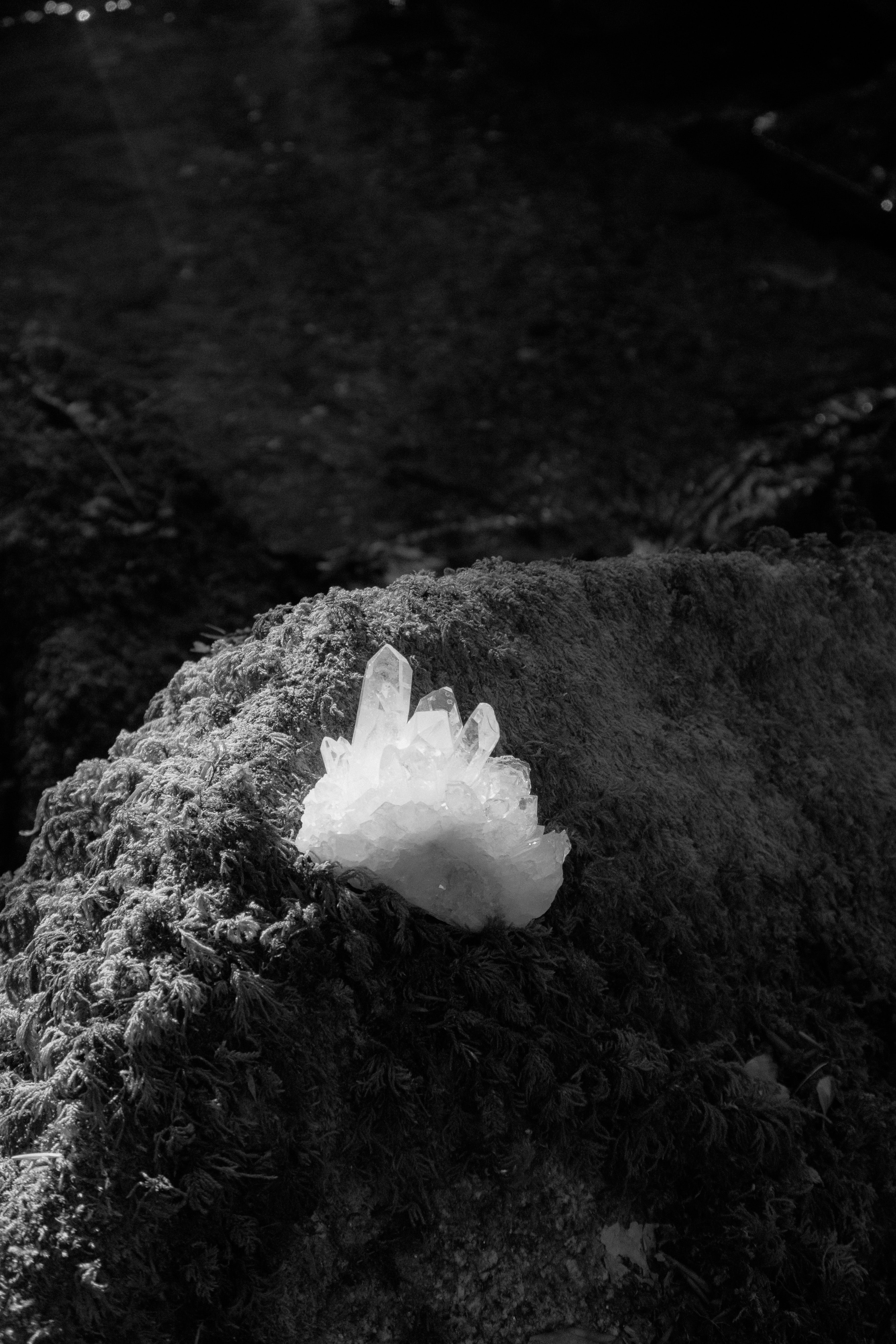 View all Crystals - Haus of Moss + Moon