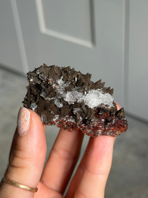 Fluorite Calcite, Mexico, L