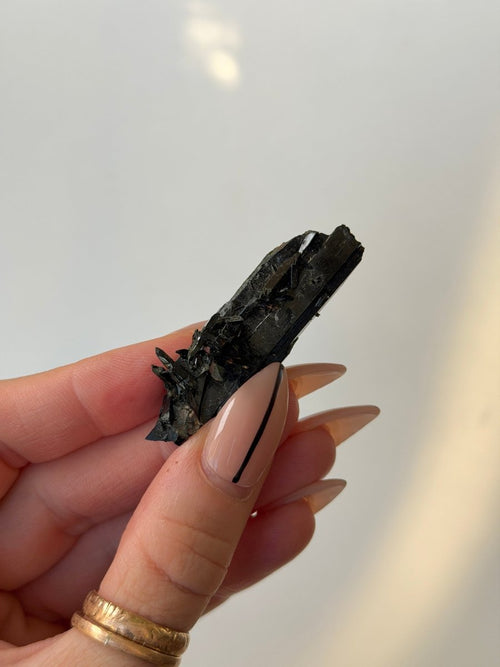 Aegirine, Mulanje, Malawi, B AegirineSouth Africa - Haus of Moss + Moon