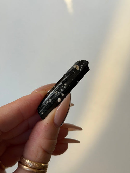 Aegirine, Mulanje, Malawi, C AegirineSouth Africa - Haus of Moss + Moon