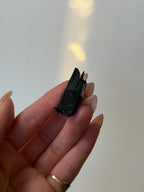 Aegirine, Mulanje, Malawi, E AegirineSouth Africa - Haus of Moss + Moon