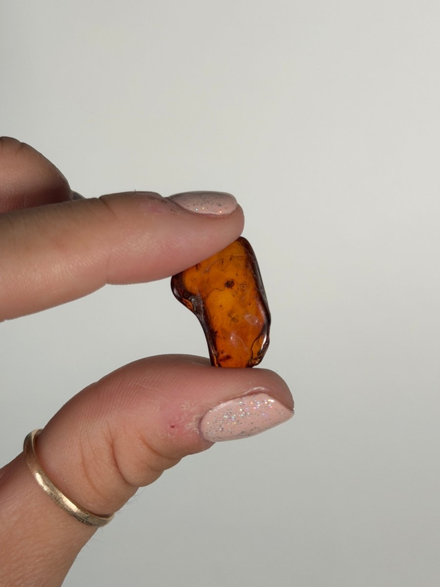 Amber, Poland Amber - Haus of Moss and Moon