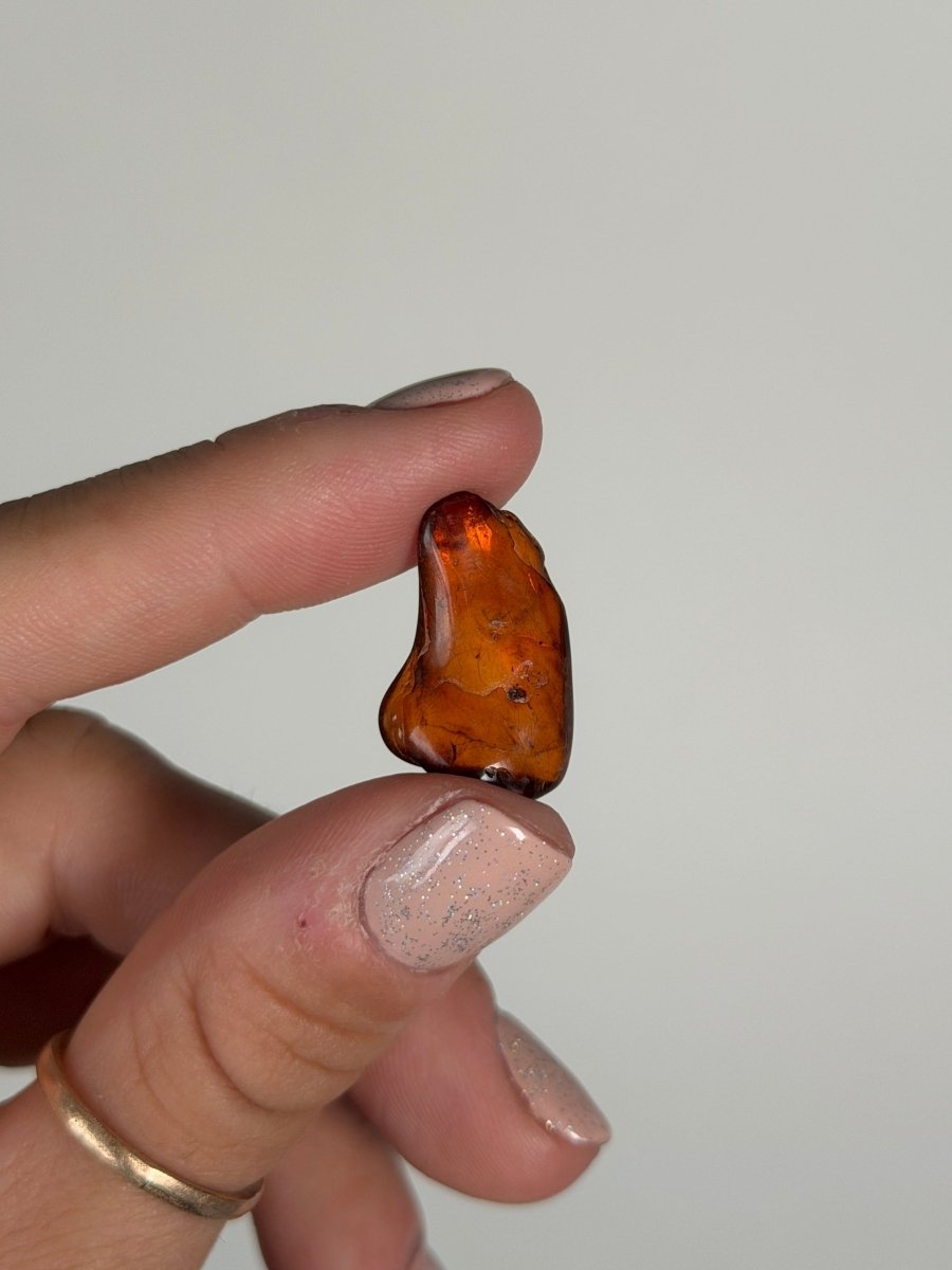 Amber, Poland Amber -  Haus of Moss and Moon