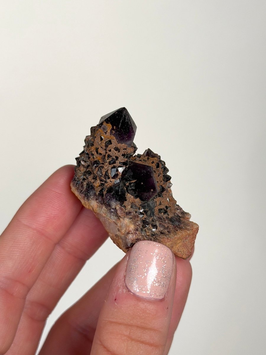 Amethyst, South Africa Amethyst South Africa- Haus of Moss and Moon