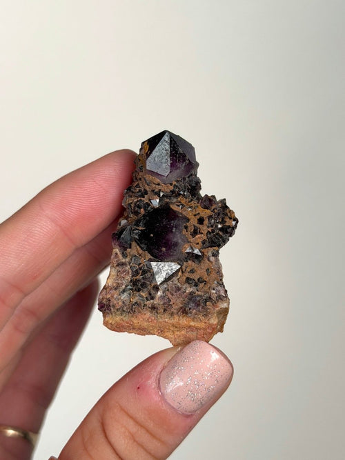 Amethyst, South Africa Amethyst South Africa- Haus of Moss and Moon
