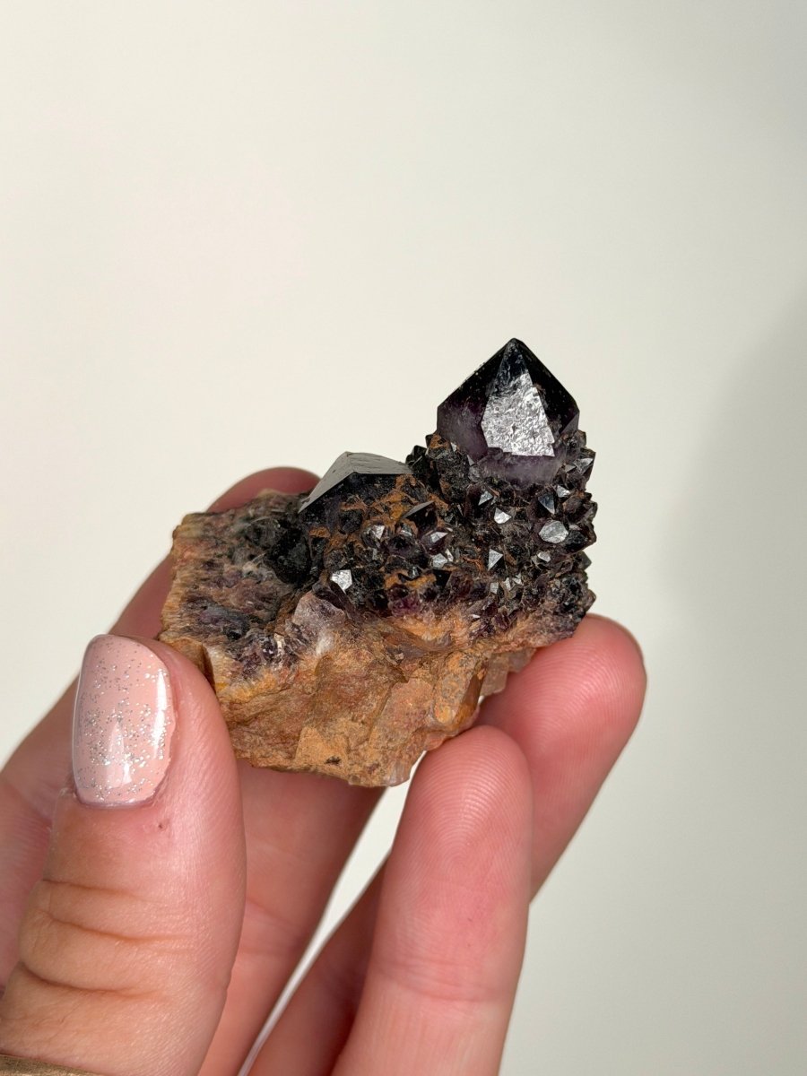 Amethyst, South Africa Amethyst South Africa- Haus of Moss and Moon