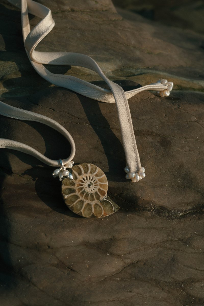 APHRODITE Ammonite Choker | palmworks x hom+m JewelleryHaus of Moss + Moon- Haus of Moss and Moon
