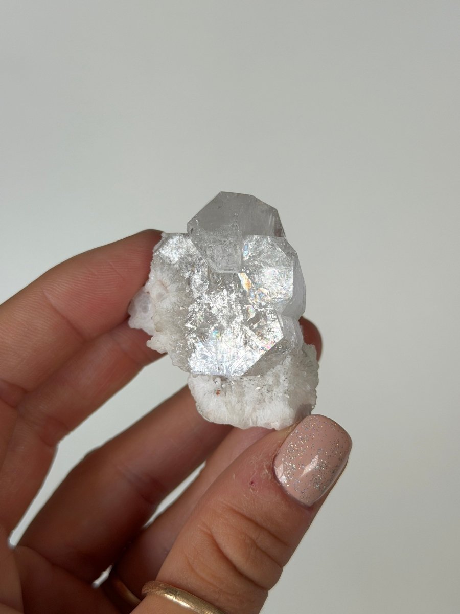 Apophyllite Cluster, India ZeolitesIndia- Haus of Moss and Moon