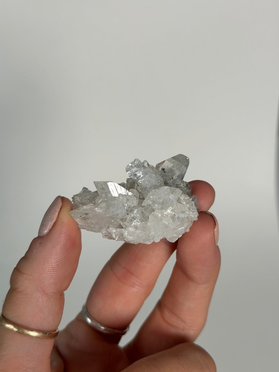 Apophyllite Cluster, India Zeolites India- Haus of Moss and Moon
