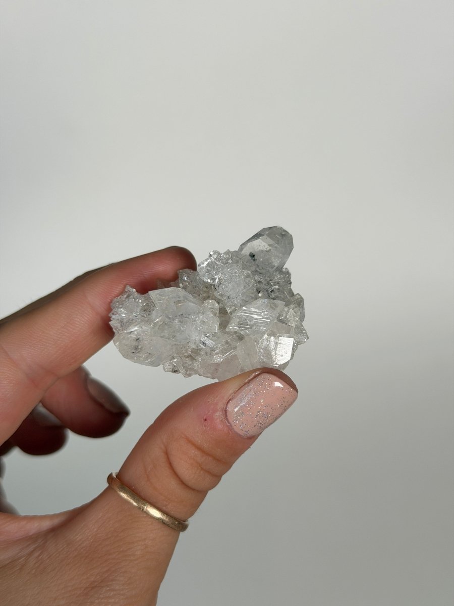 Apophyllite Cluster, India Zeolites India- Haus of Moss and Moon