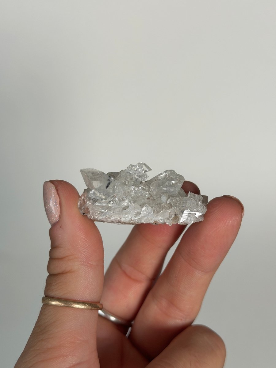 Apophyllite Cluster, India Zeolites India- Haus of Moss and Moon
