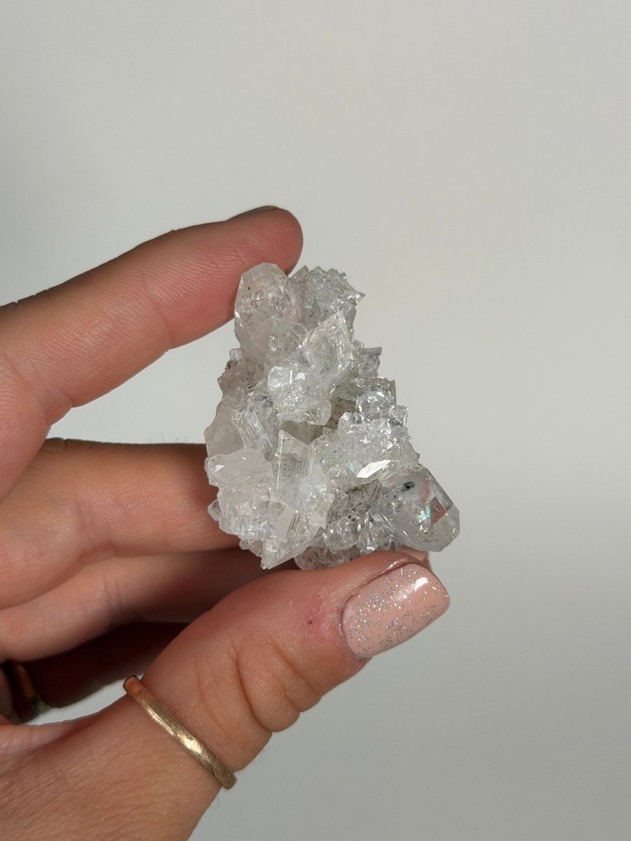 Apophyllite Cluster, India Zeolites India- Haus of Moss and Moon