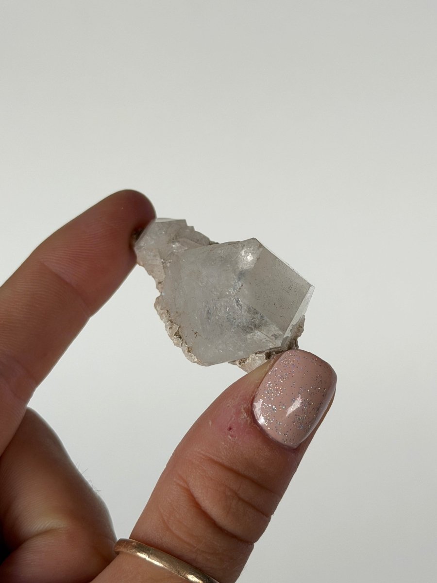 Apophyllite Cluster, India Zeolites India- Haus of Moss and Moon