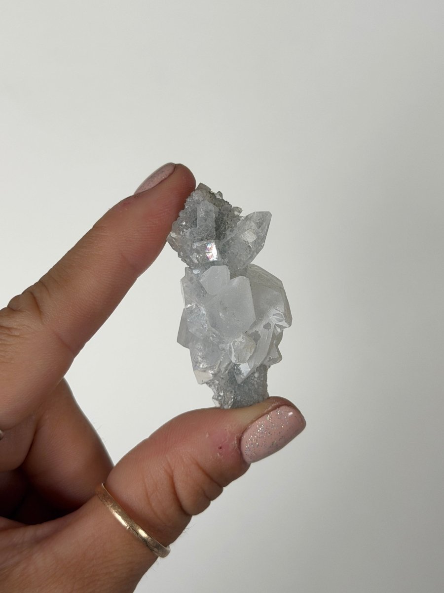 Apophyllite Stalactite Cluster, India ZeolitesIndia- Haus of Moss and Moon