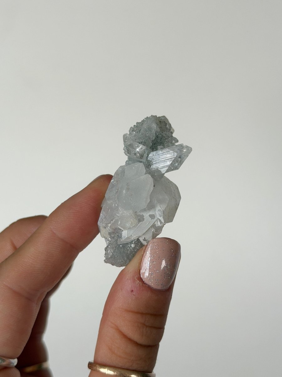 Apophyllite Stalactite Cluster, India ZeolitesIndia- Haus of Moss and Moon
