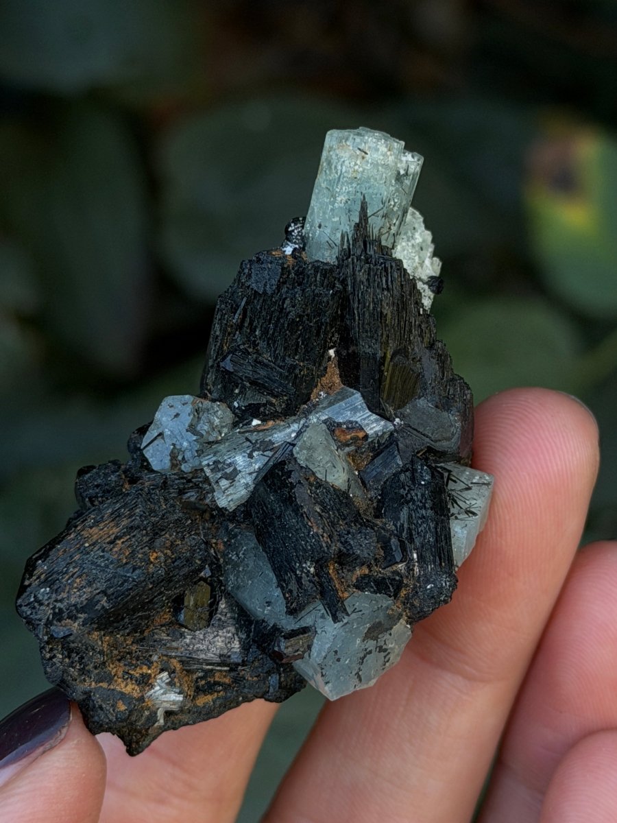 Aquamarine and Tourmaline, Namibia AquamarineNamibia- Haus of Moss and Moon