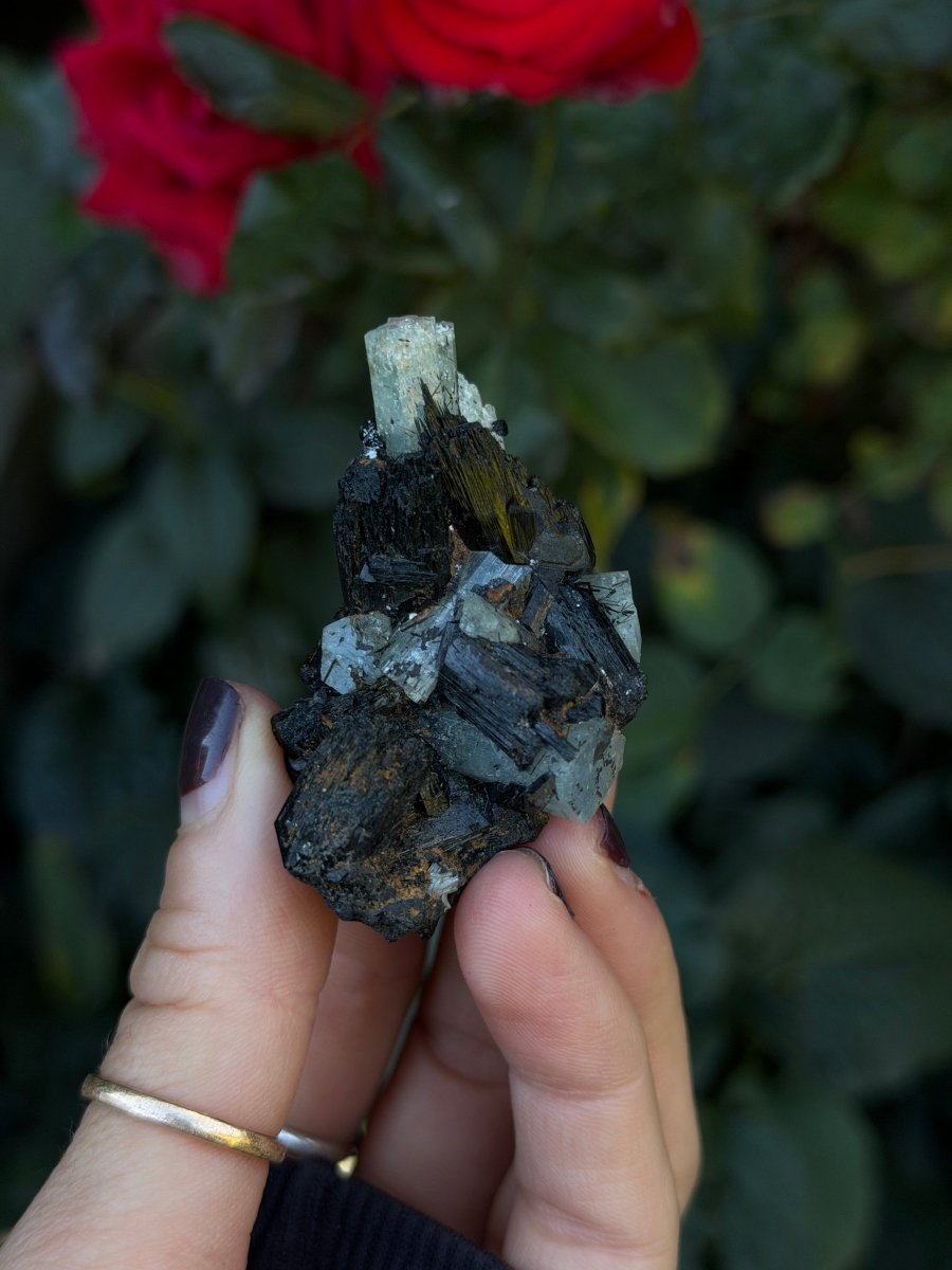 Aquamarine and Tourmaline, Namibia AquamarineNamibia- Haus of Moss and Moon