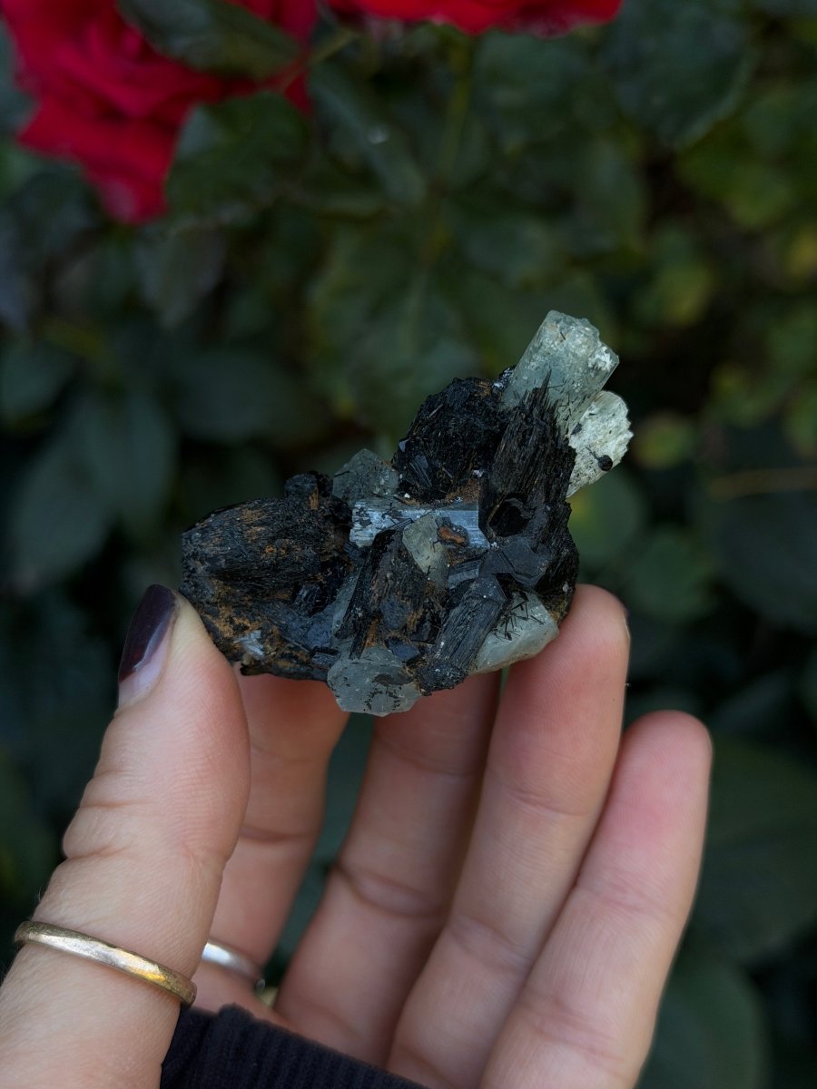 Aquamarine and Tourmaline, Namibia AquamarineNamibia- Haus of Moss and Moon