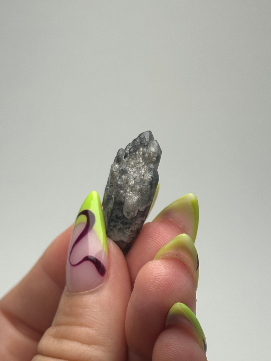 Black Tip Phantom Quartz Point, Bahia, Brazil, D Included QuartzBrazil - Haus of Moss + Moon