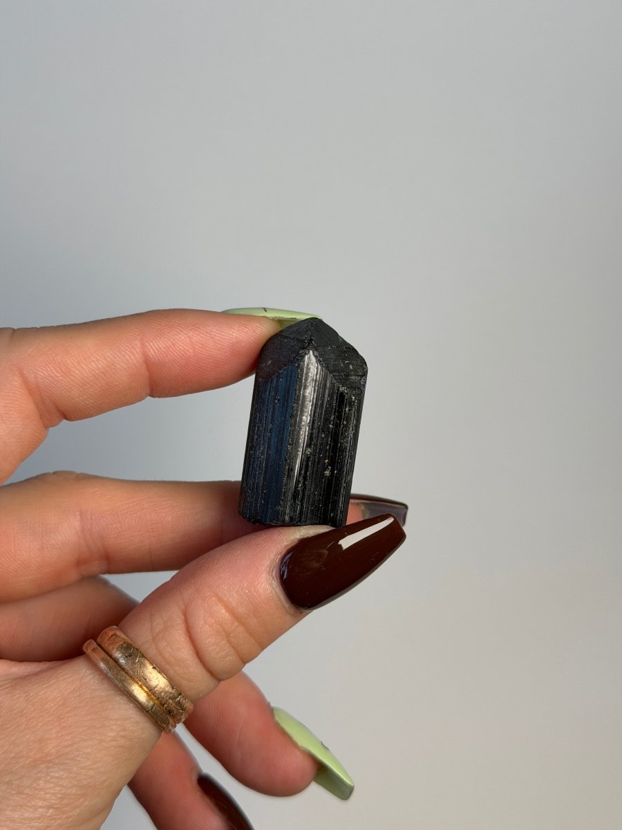 Black Tourmaline, Madagascar Tourmaline Madagascar - Haus of Moss + Moon