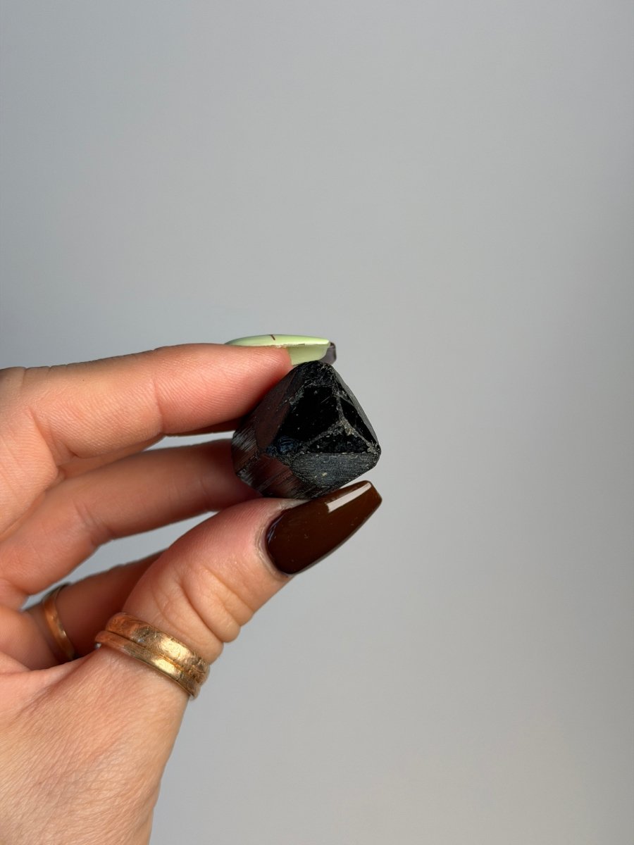 Black Tourmaline, Madagascar Tourmaline Madagascar - Haus of Moss + Moon
