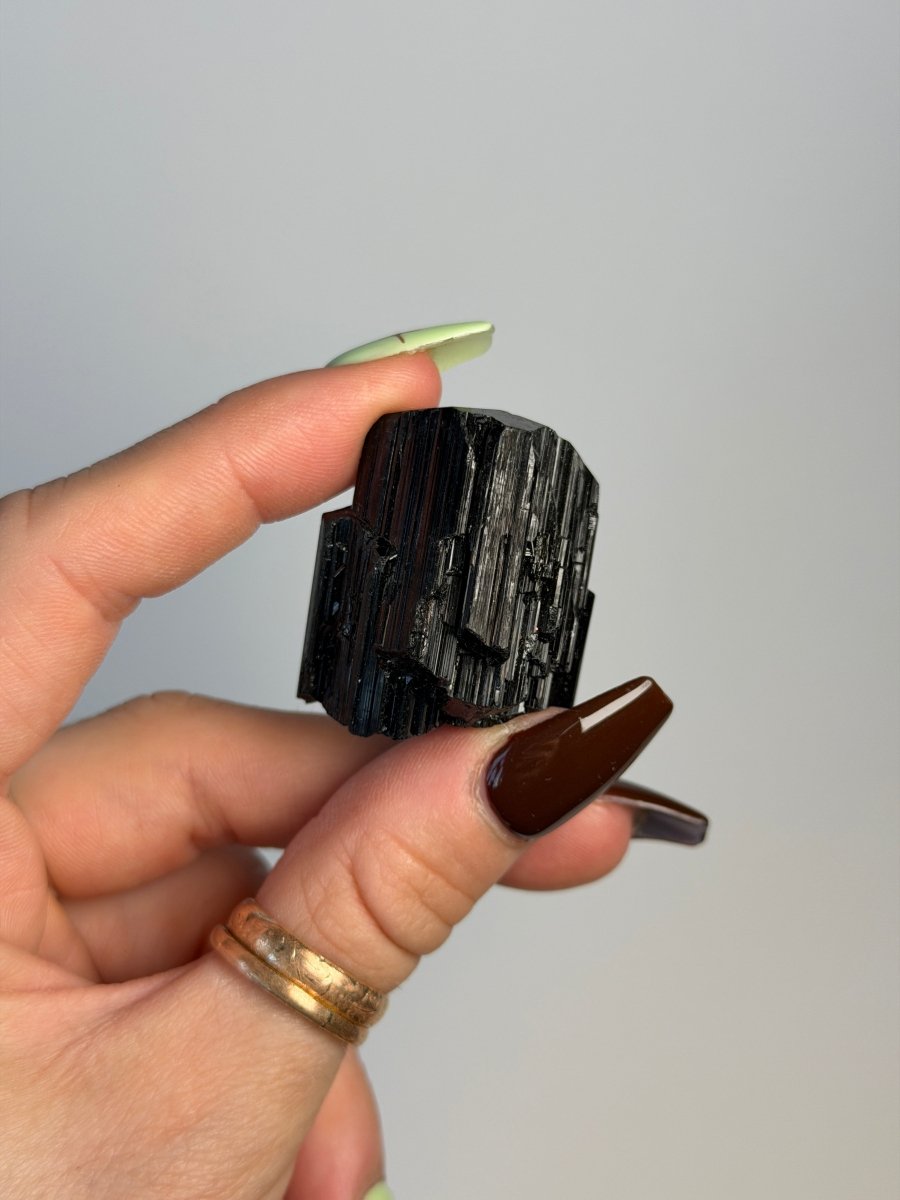 Black Tourmaline, Madagascar Tourmaline Madagascar - Haus of Moss + Moon
