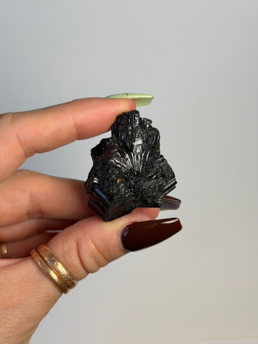 Black Tourmaline, Madagascar TourmalineMadagascar - Haus of Moss + Moon
