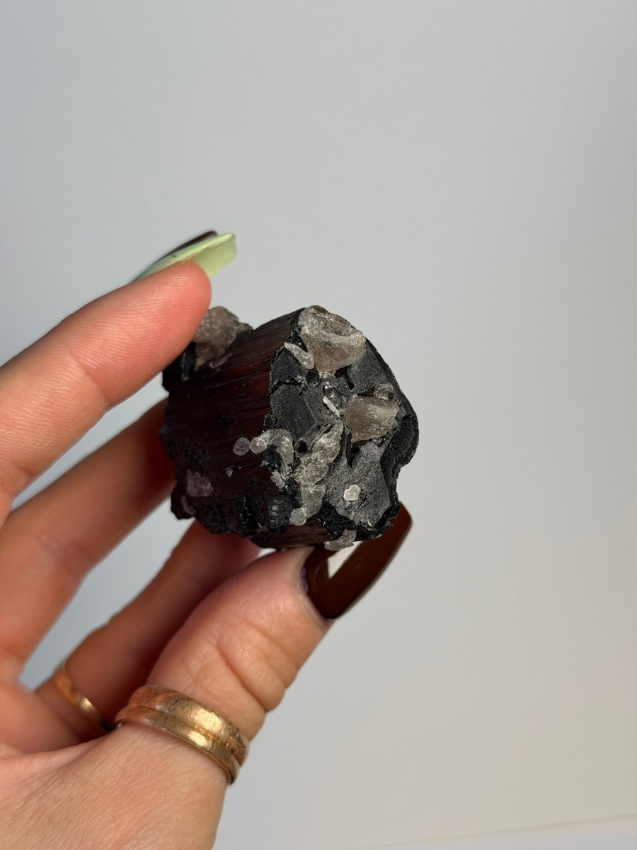 Black Tourmaline with Calcite, Madagascar Tourmaline Madagascar - Haus of Moss + Moon