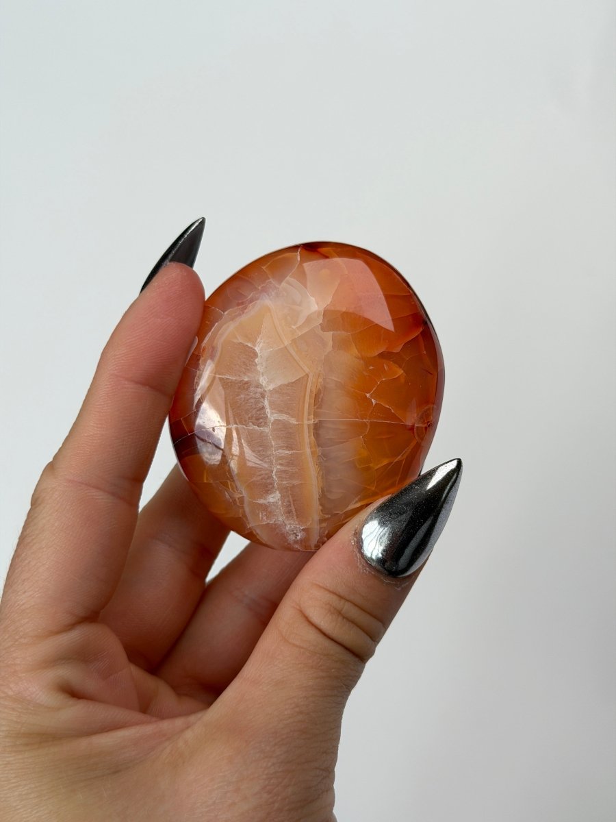 Carnelian Pebble, B CarnelianMadagascar - Haus of Moss and Moon
