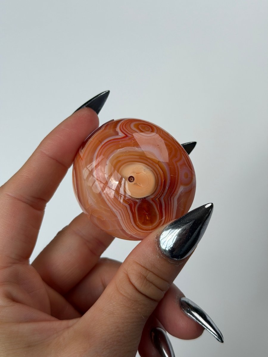 Carnelian Pebble, C CarnelianMadagascar - Haus of Moss and Moon