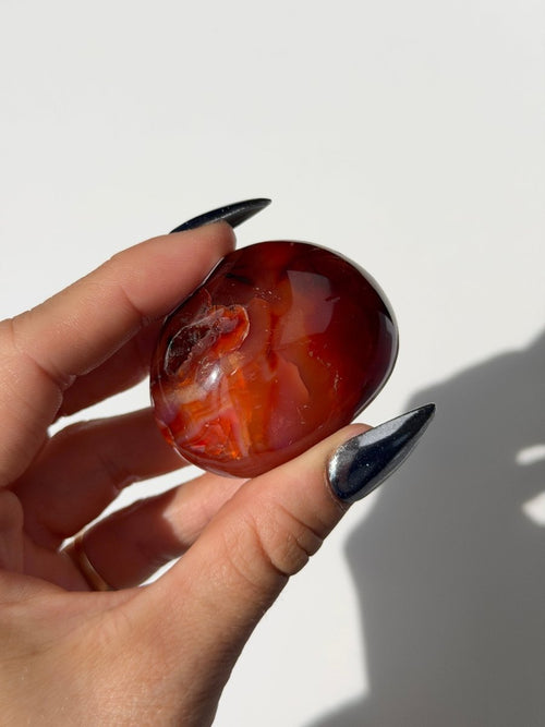 Carnelian Pebble, D CarnelianMadagascar - Haus of Moss and Moon