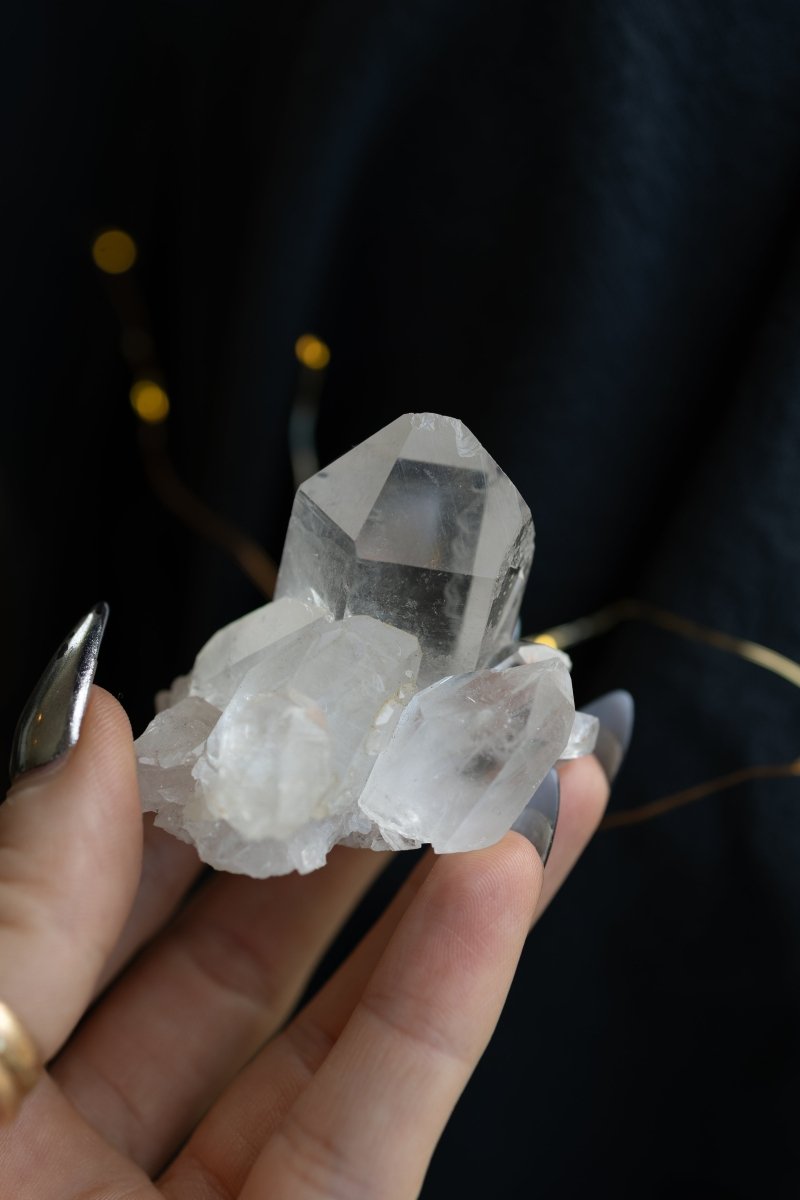 Clear Quartz Cluster, Diamantina, E Clear QuartzBrazil - Haus of Moss + Moon