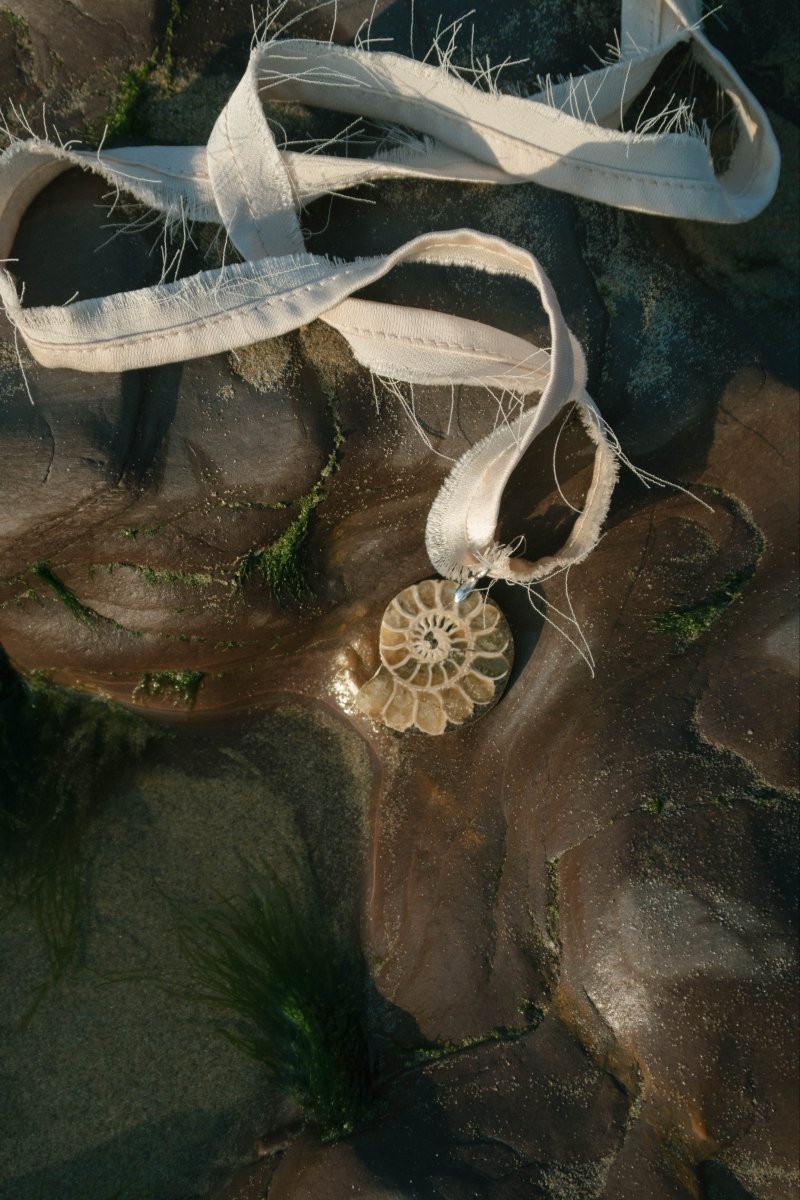 CORALIA Ammonite Choker | palmworks x hom+m JewelleryHaus of Moss + Moon- Haus of Moss and Moon
