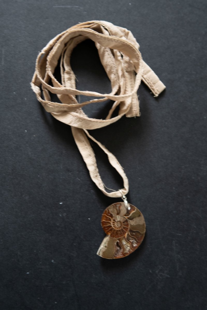 CORDELIA Ammonite Choker | palmworks x hom+m JewelleryHaus of Moss + Moon- Haus of Moss and Moon