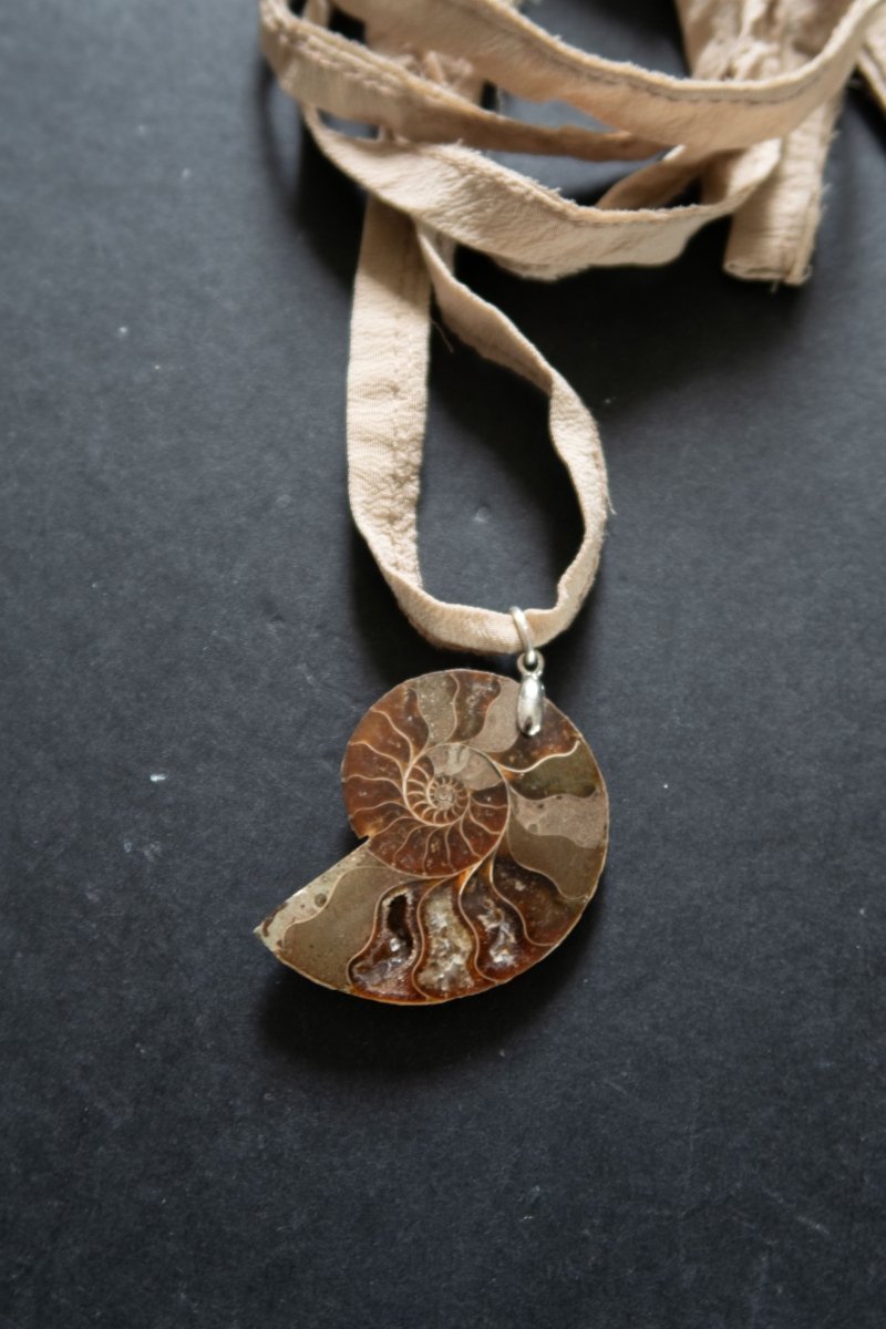 CORDELIA Ammonite Choker | palmworks x hom+m JewelleryHaus of Moss + Moon- Haus of Moss and Moon