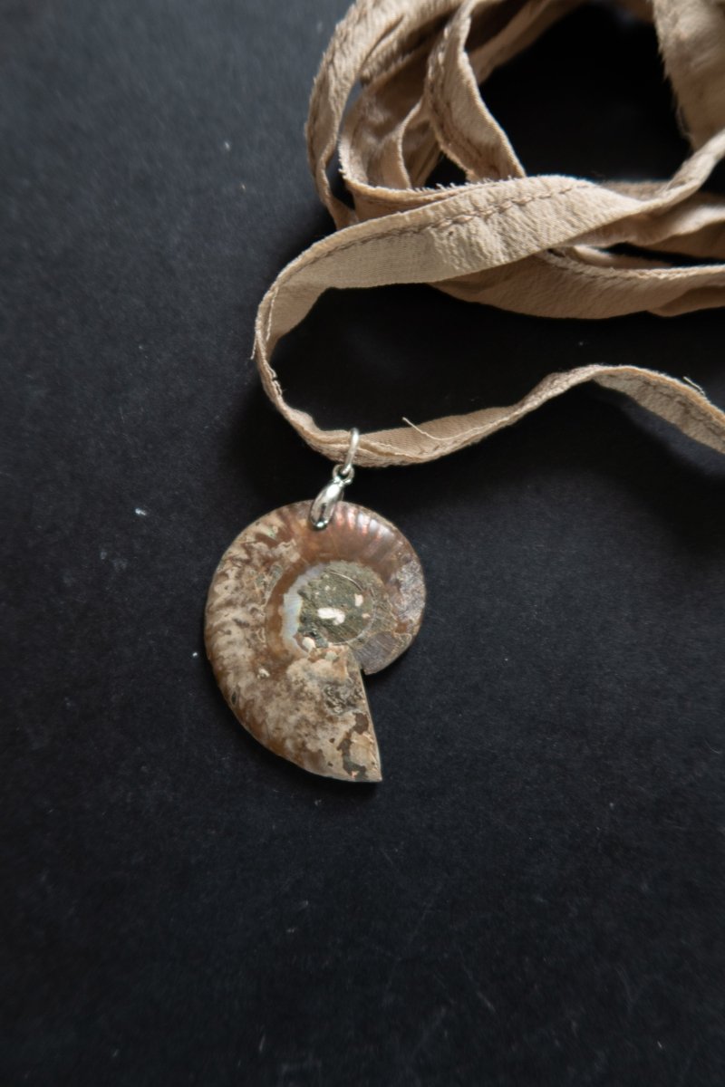 CORDELIA Ammonite Choker | palmworks x hom+m JewelleryHaus of Moss + Moon- Haus of Moss and Moon