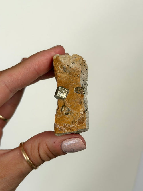 Cubic Pyrite on Matrix, Spain PyriteSpain- Haus of Moss and Moon