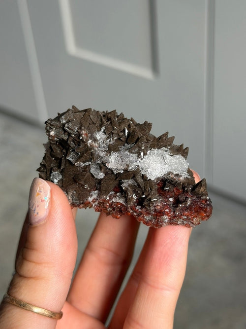 Fluorite Calcite, Mexico, L FluoriteMexico- Haus of Moss and Moon