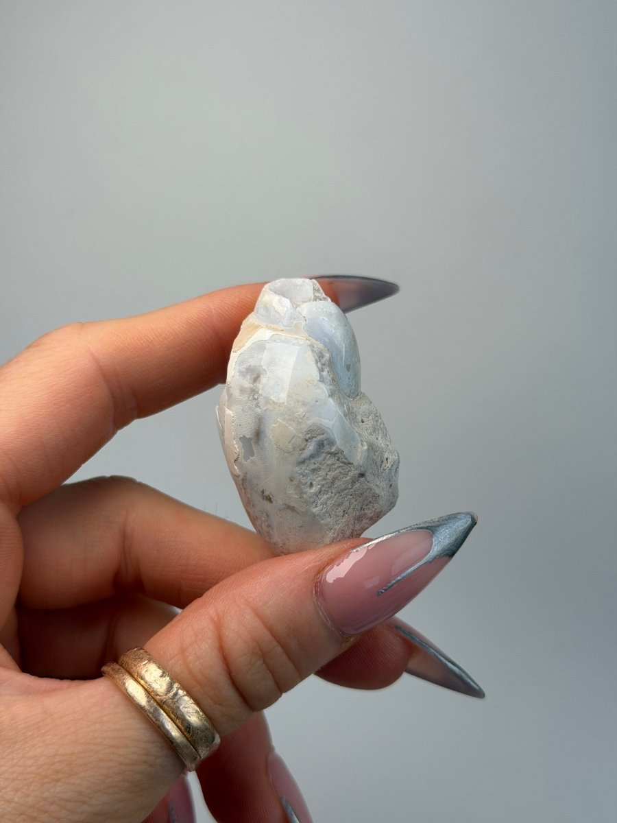 Fossilised Druzy Gastropod Shell, India, I FossilsIndia - Haus of Moss + Moon